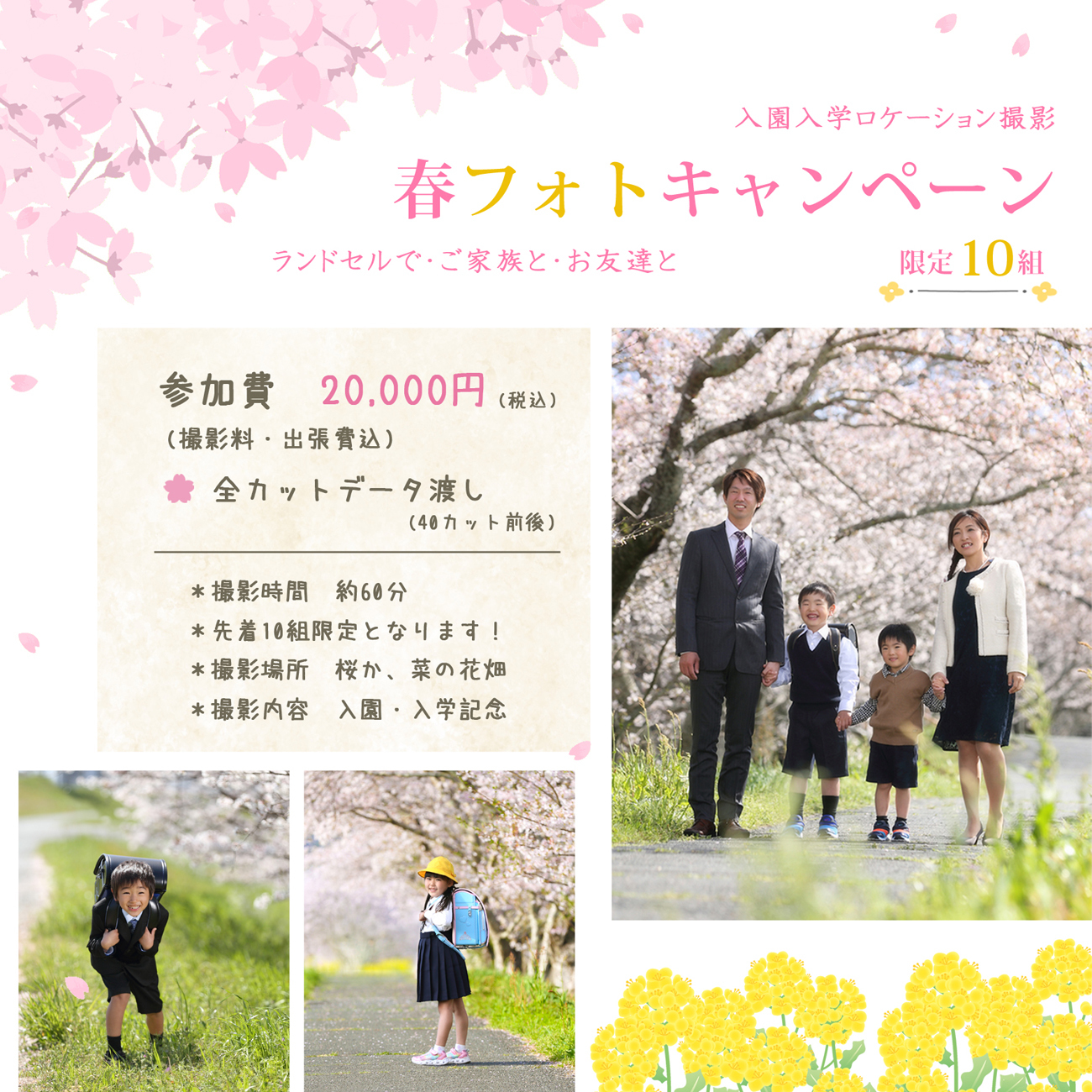 入園　入学　キャンペーン　ロケ　撮影　桜　菜の花　プラン